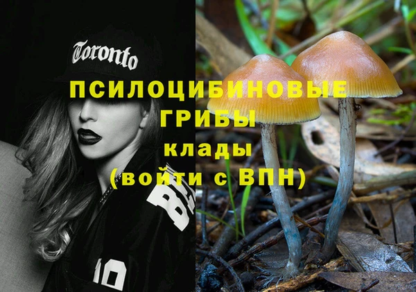 ГАЛЛЮЦИНОГЕННЫЕ ГРИБЫ Алексеевка