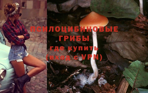 трава Алзамай