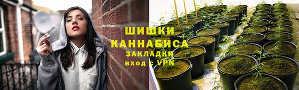 ГАЛЛЮЦИНОГЕННЫЕ ГРИБЫ Алексеевка