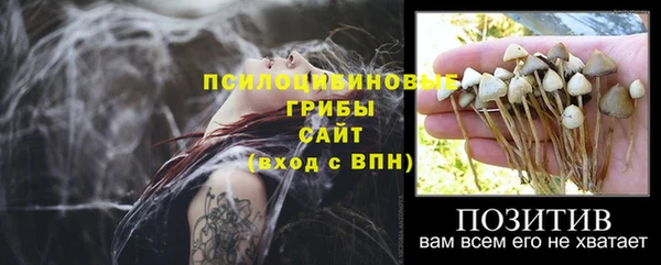 ГАЛЛЮЦИНОГЕННЫЕ ГРИБЫ Алексеевка